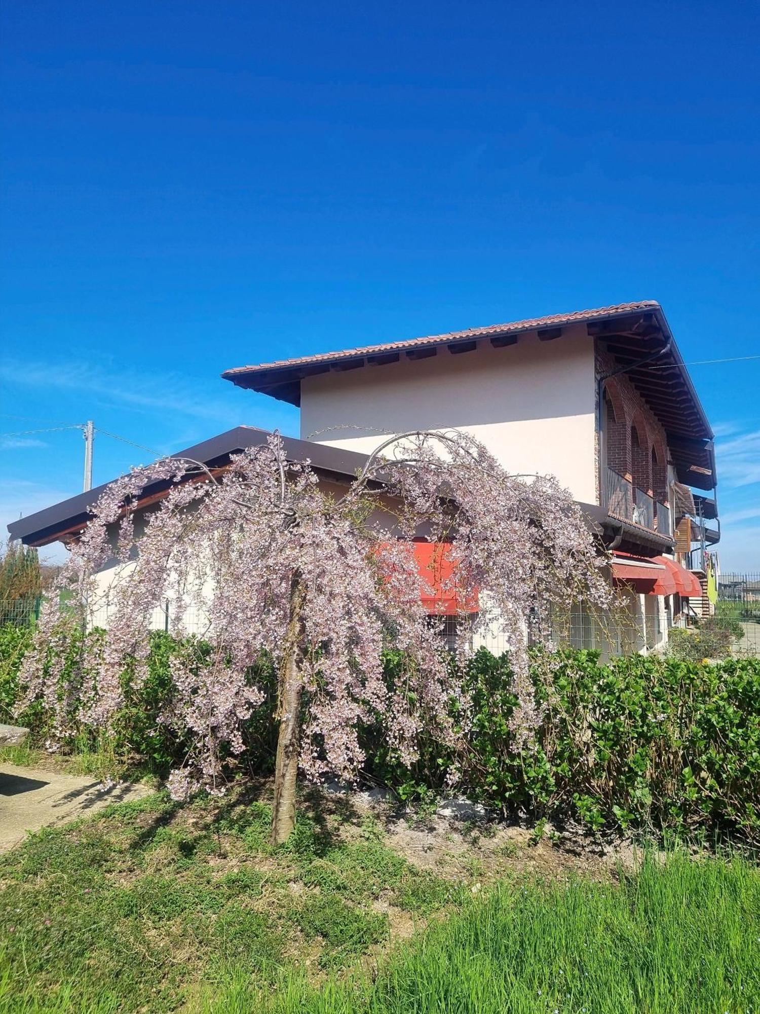 Cascina La Demilana Bed and Breakfast Bibiana Exteriör bild